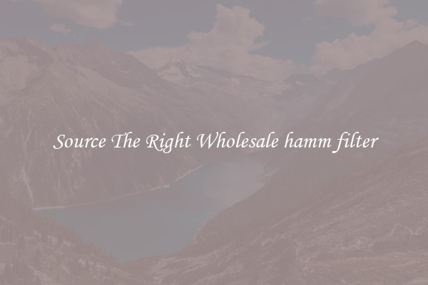 Source The Right Wholesale hamm filter