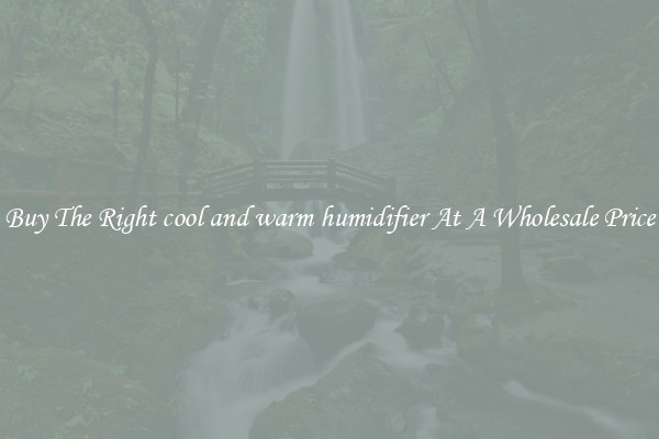 Buy The Right cool and warm humidifier At A Wholesale Price