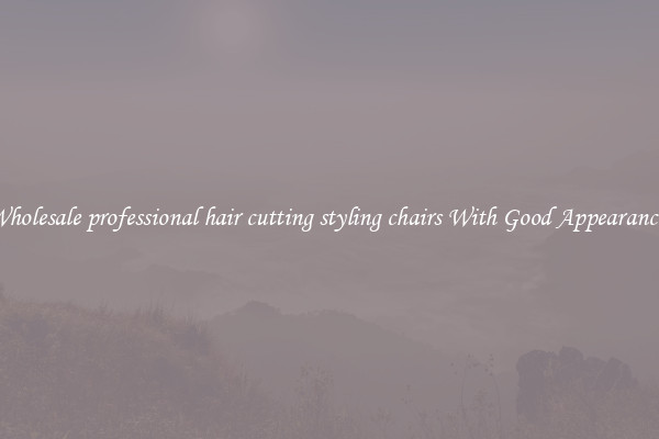Wholesale professional hair cutting styling chairs With Good Appearances