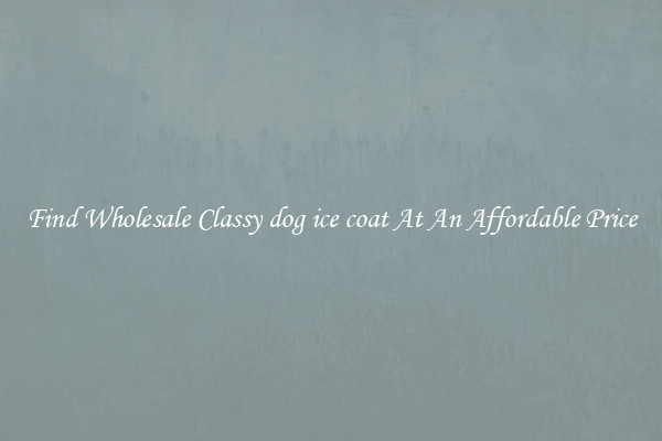 Find Wholesale Classy dog ice coat At An Affordable Price