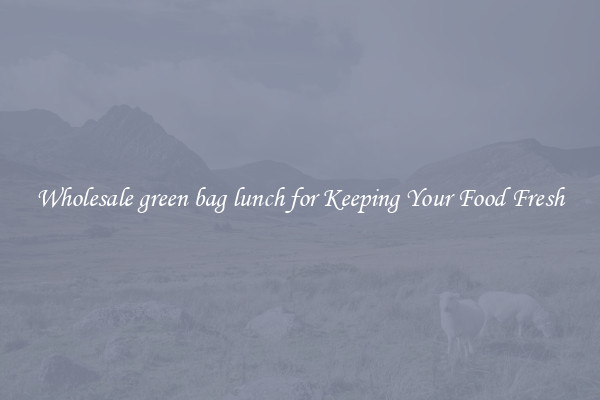 Wholesale green bag lunch for Keeping Your Food Fresh