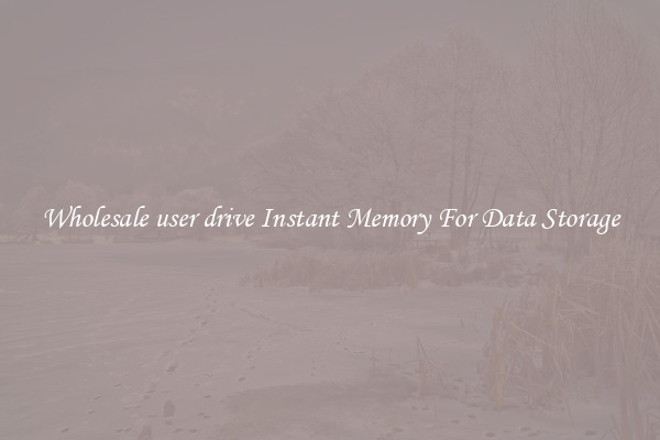 Wholesale user drive Instant Memory For Data Storage