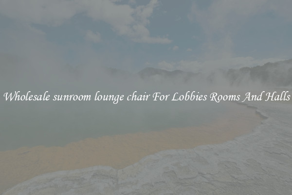 Wholesale sunroom lounge chair For Lobbies Rooms And Halls