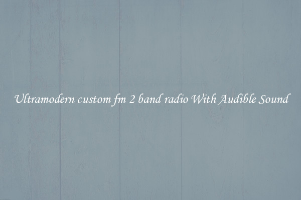 Ultramodern custom fm 2 band radio With Audible Sound