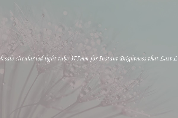 Wholesale circular led light tube 375mm for Instant Brightness that Last Longer