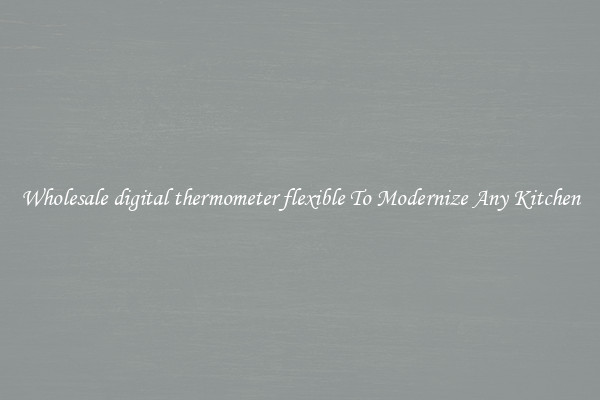 Wholesale digital thermometer flexible To Modernize Any Kitchen