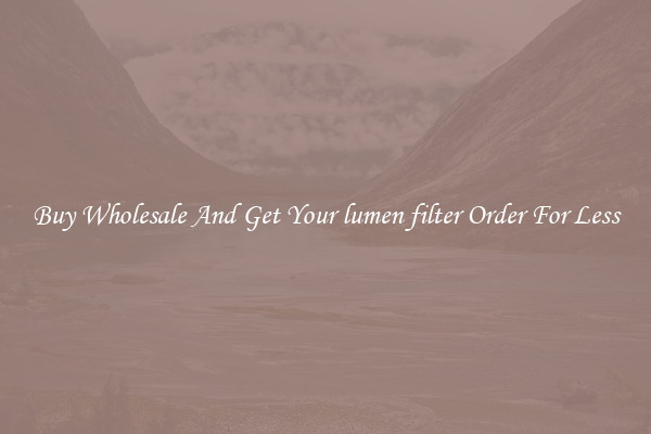 Buy Wholesale And Get Your lumen filter Order For Less