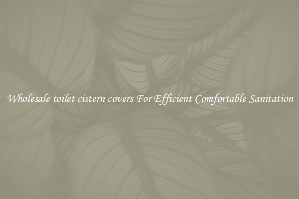 Wholesale toilet cistern covers For Efficient Comfortable Sanitation